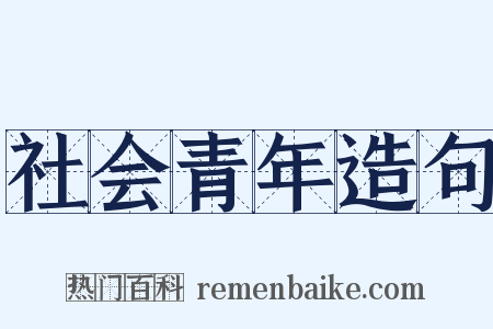 社会青年造句是什么意思的图片